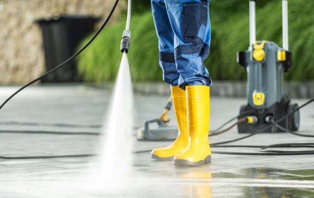 Best Best Pressure Washing Companies  in Willard, OH